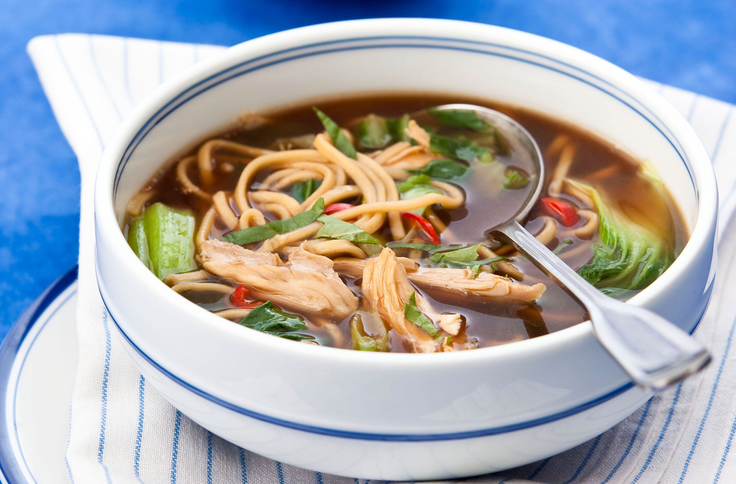 Oriental chicken noodle soup. 