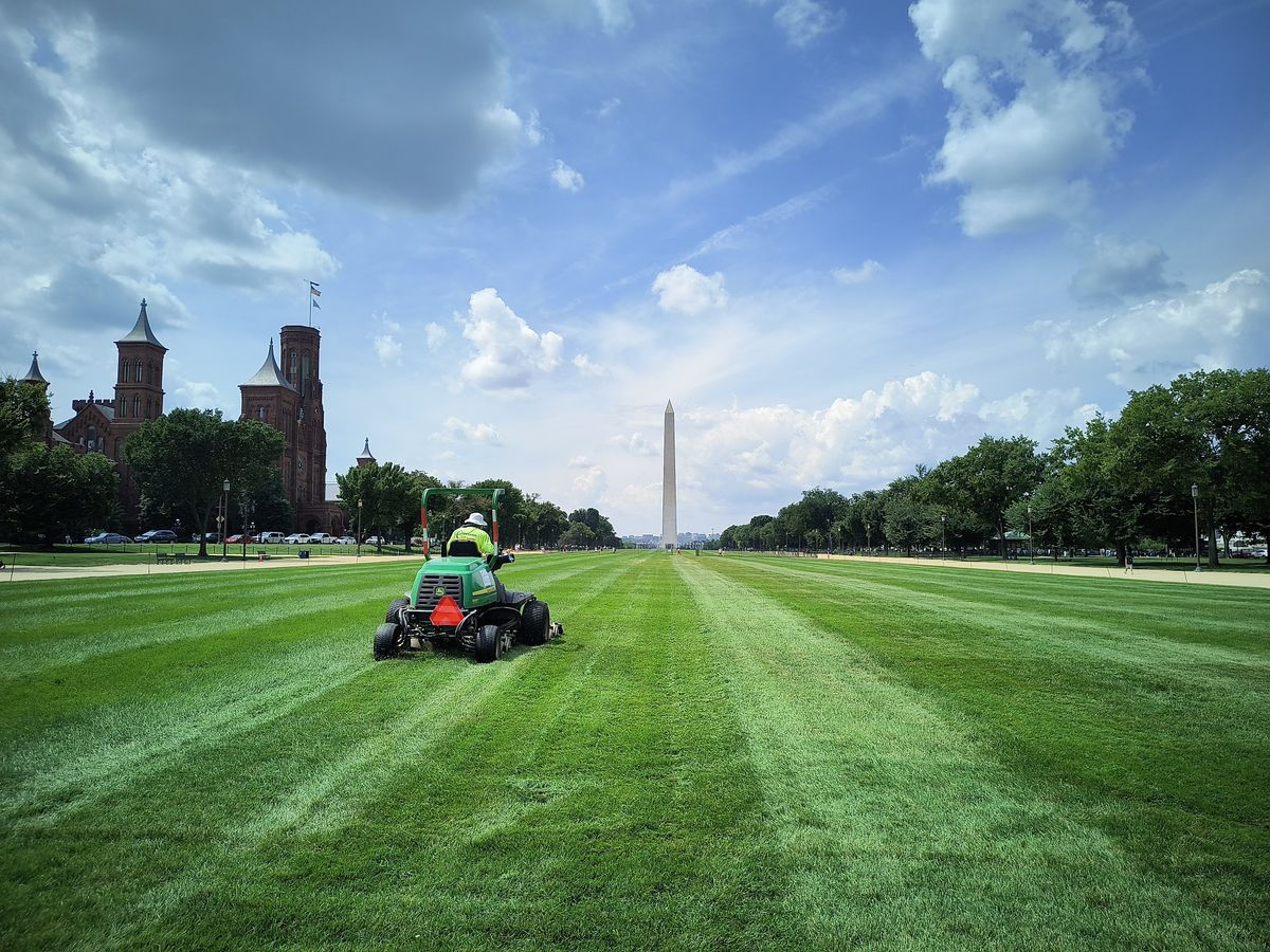 Image samples from Motorola Edge (2022) camera