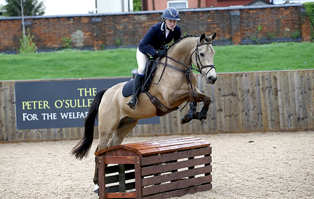 2. Oare House Hero