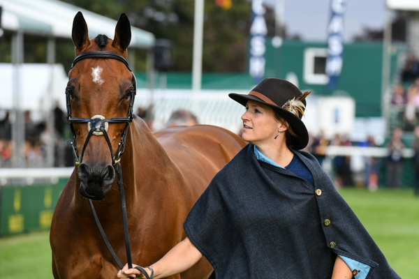 TEMPLAR-JUSTICE_LRBHT_NP18_72622.jpg