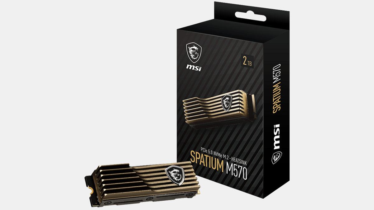 MSI&#8217;s Adds Backup Capability to PCIe Gen5 SSDs