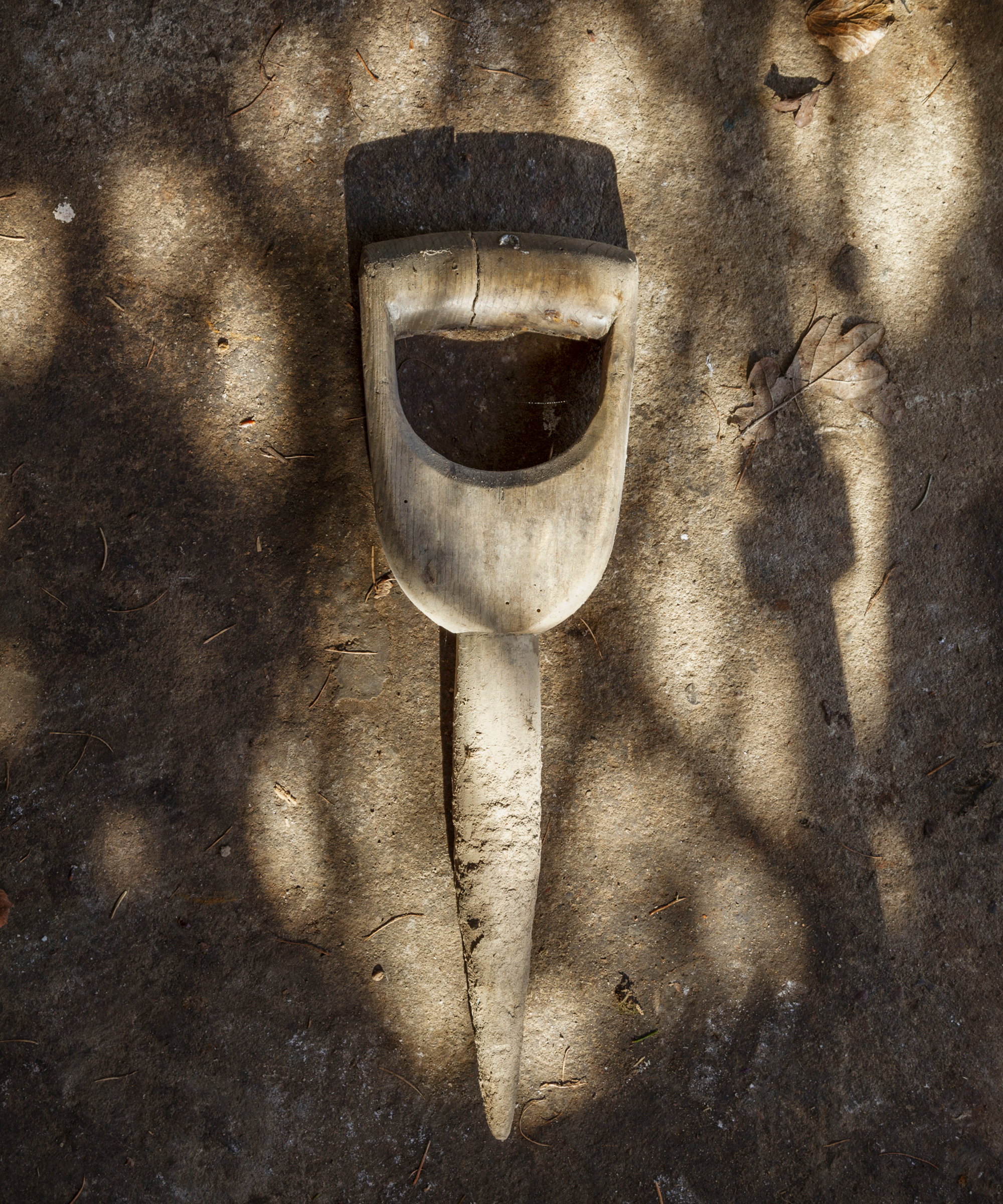 An old-fashioned wooden bulb dibber sits on the wooden floor of a shed