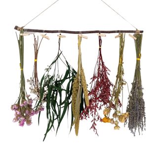 Hanging dried flowers and herbs