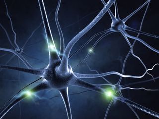 Visualization of neurons firing in a human brain. Credit: Sashkin | Shutterstock