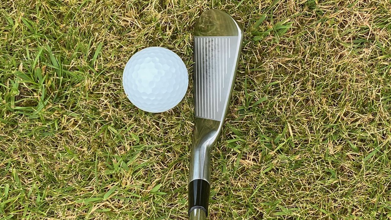 Photo of the Bose Iron Factory Hayabusa Iron 7 iron