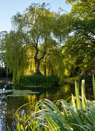 Garden and pond Photograph: Paul Highnam/Country Life Picture Library