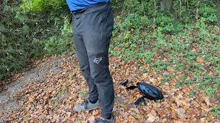MTB trail pants being worn in a wood