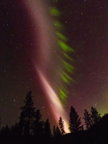 STEVE, seen here in Washington in May 2016, is an aurora-like phenomenon, but it doesn&#039;t work quite the same way — and scientists think they finally know why.