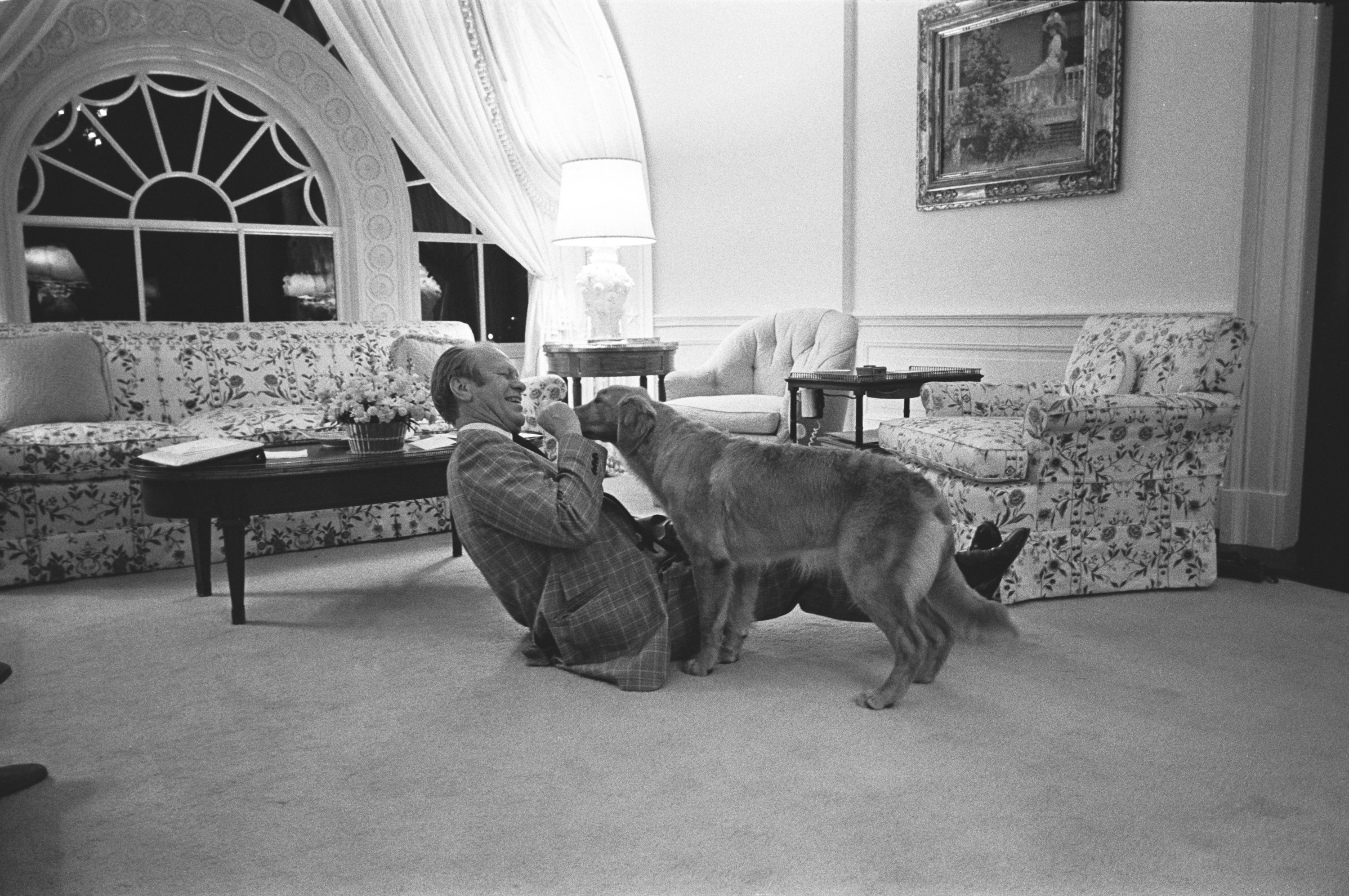 A man in a suit laughs while sitting on the carpeted floor of an elegant, traditionally decorated room as a Golden Retriever climbs onto him, appearing playful and affectionate. Floral-upholstered furniture, a large arched window and a table lamp fill the background.