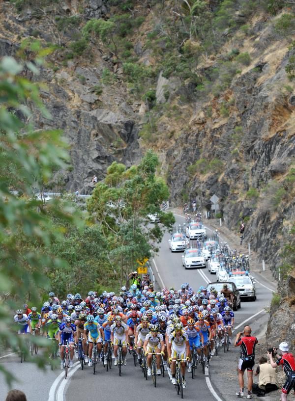 The peloton adds some extra colour to the Aussie landscape