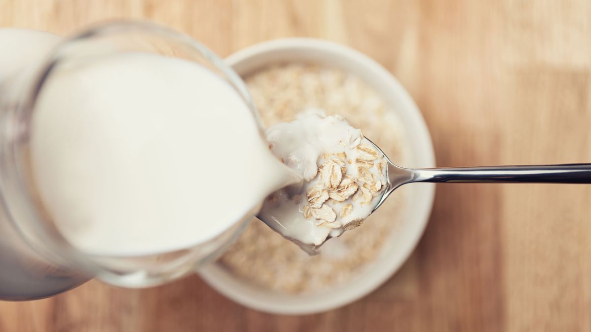 How to make oat milk a quick and easy dairy replacement Real Homes