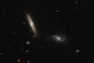 Galaxy LO95 0313-192