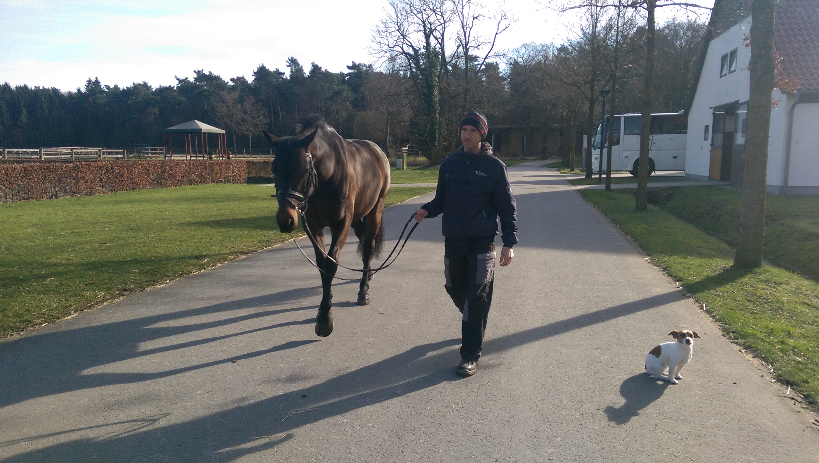 Dantano, by Diamond Hit, takes a walk at home