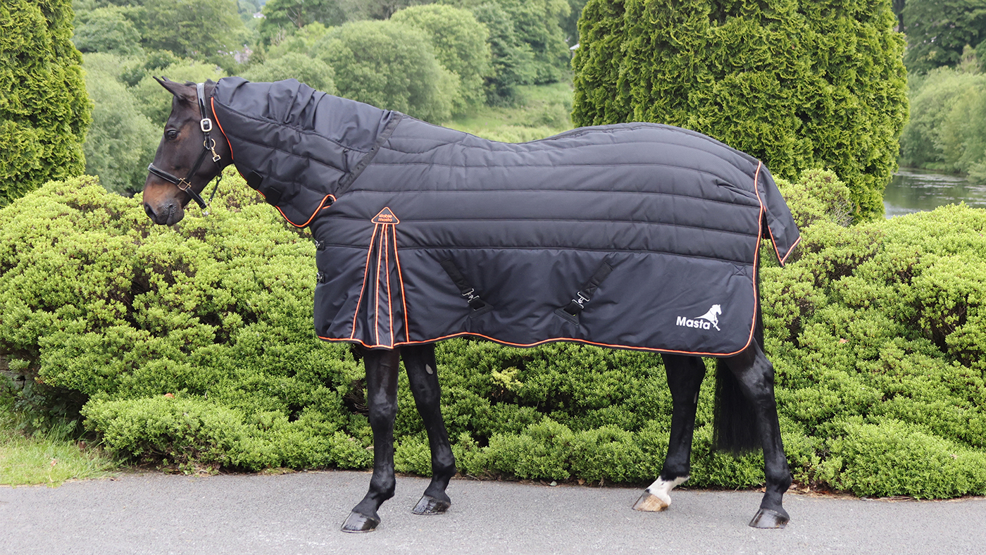 Mata Stablemasta combo rug