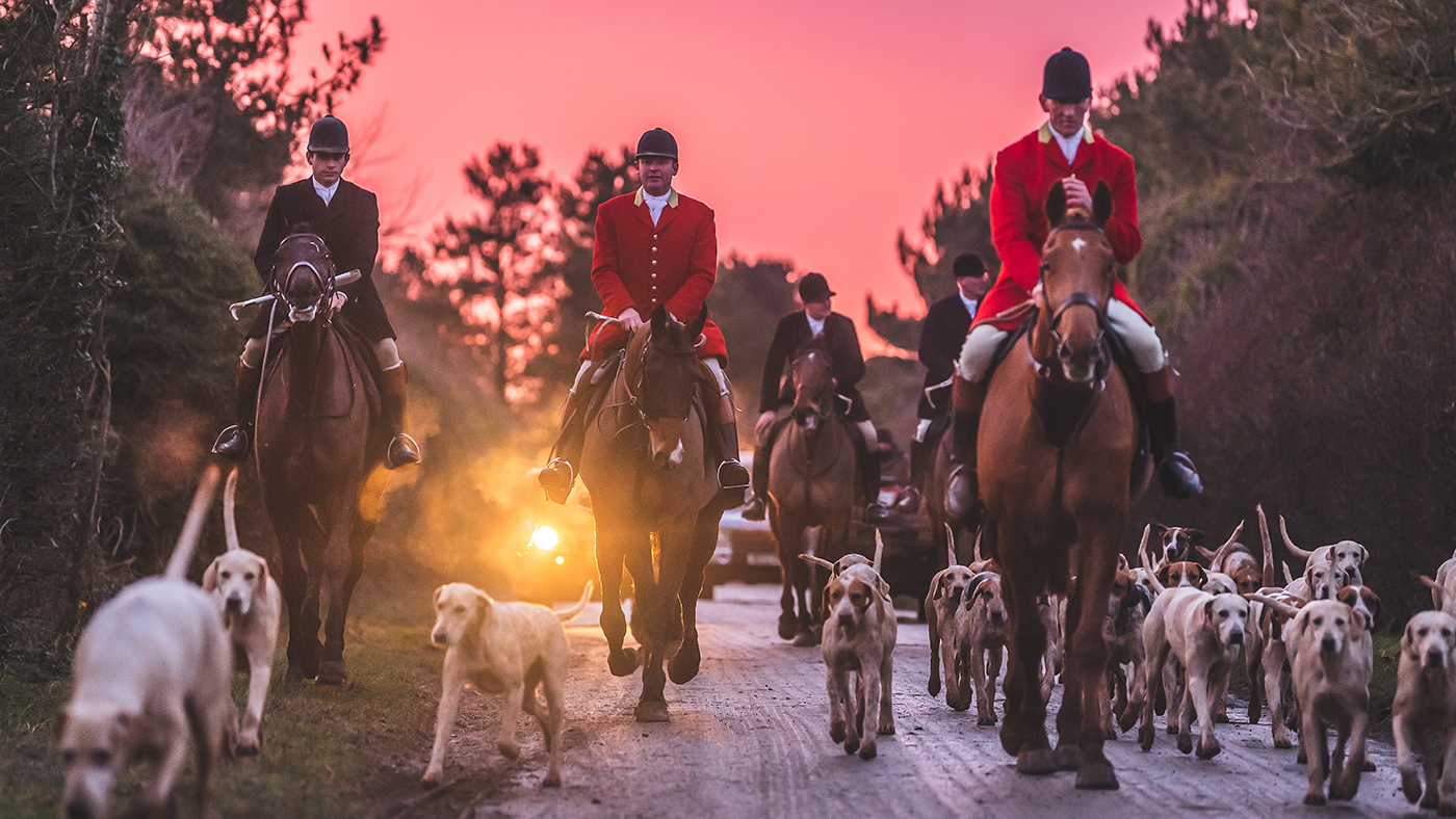 The North Cotswold hounds with kennel-huntsman Guy Fitzearle in front and joint-master and huntsman Oliver Dale