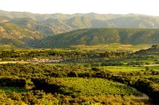 Mas de Daumas Gassac, Gassac Valley, Languedoc