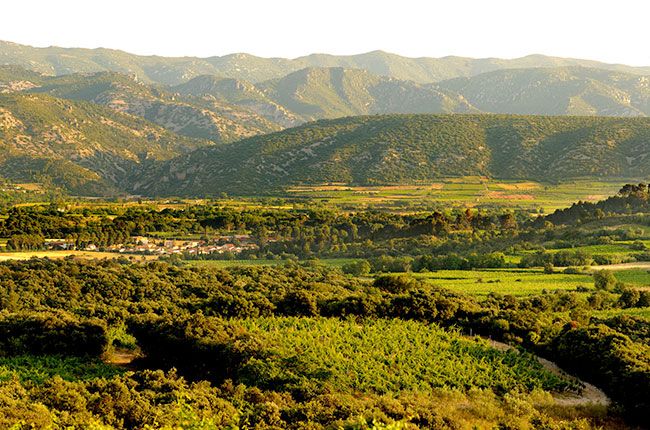 Decanter: Jefford on Monday: Classic wine, trusted wine