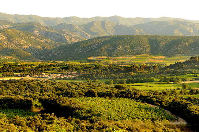 Mas de Daumas Gassac, Gassac Valley, Languedoc