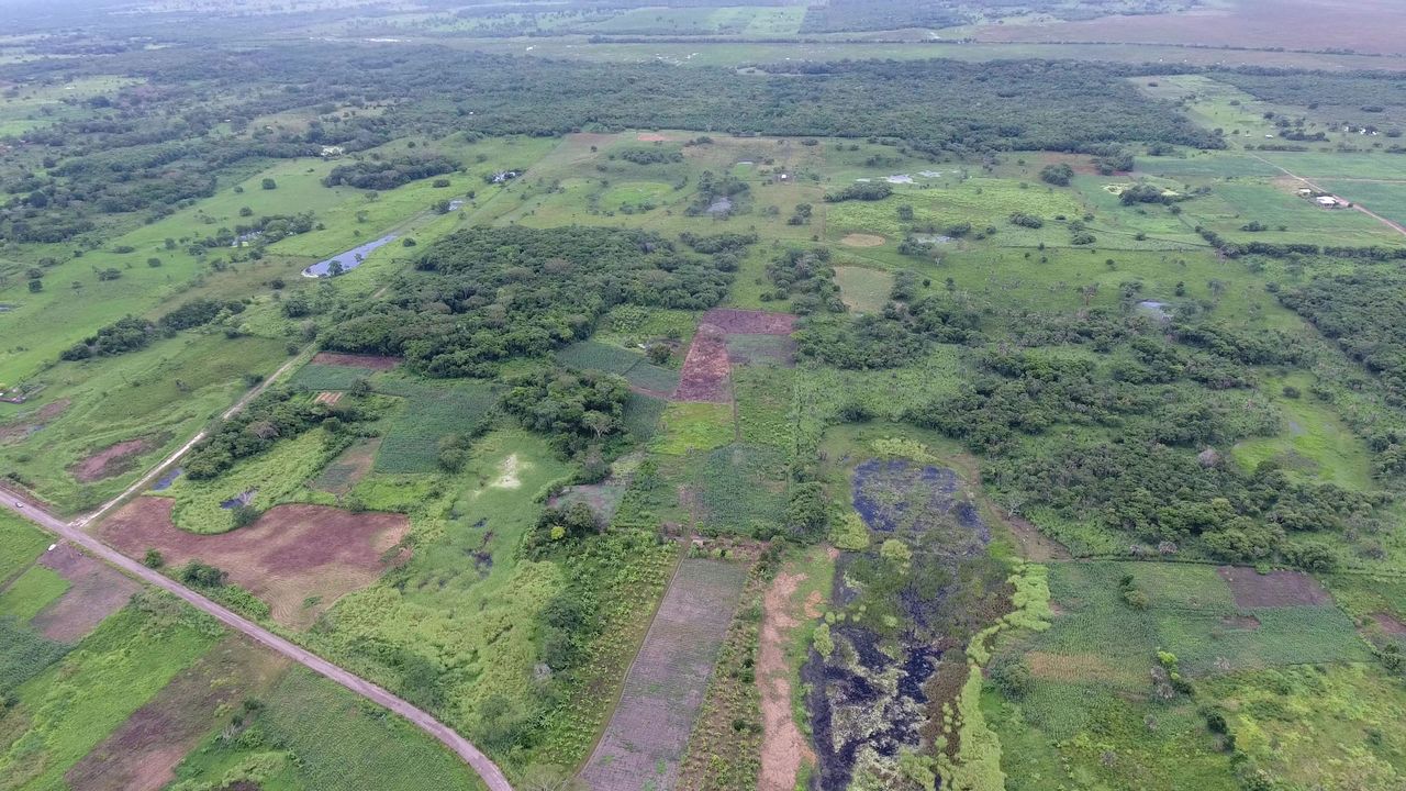 An aerial view of Aguada F&eacute;nix. Notice the causeways and reservoirs in front and the main plateau in the back.