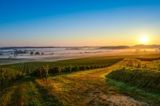 M&eacute;doc 2019 wines, Medoc Bordeaux