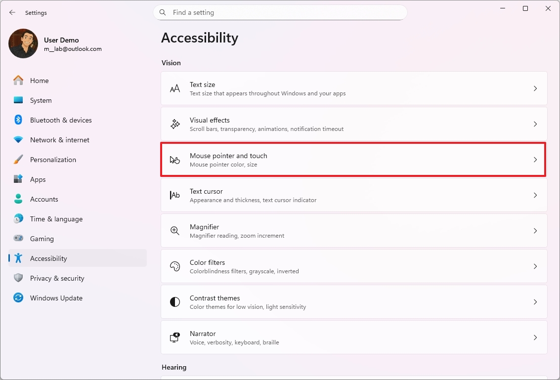 Mouse pointer and touch settings