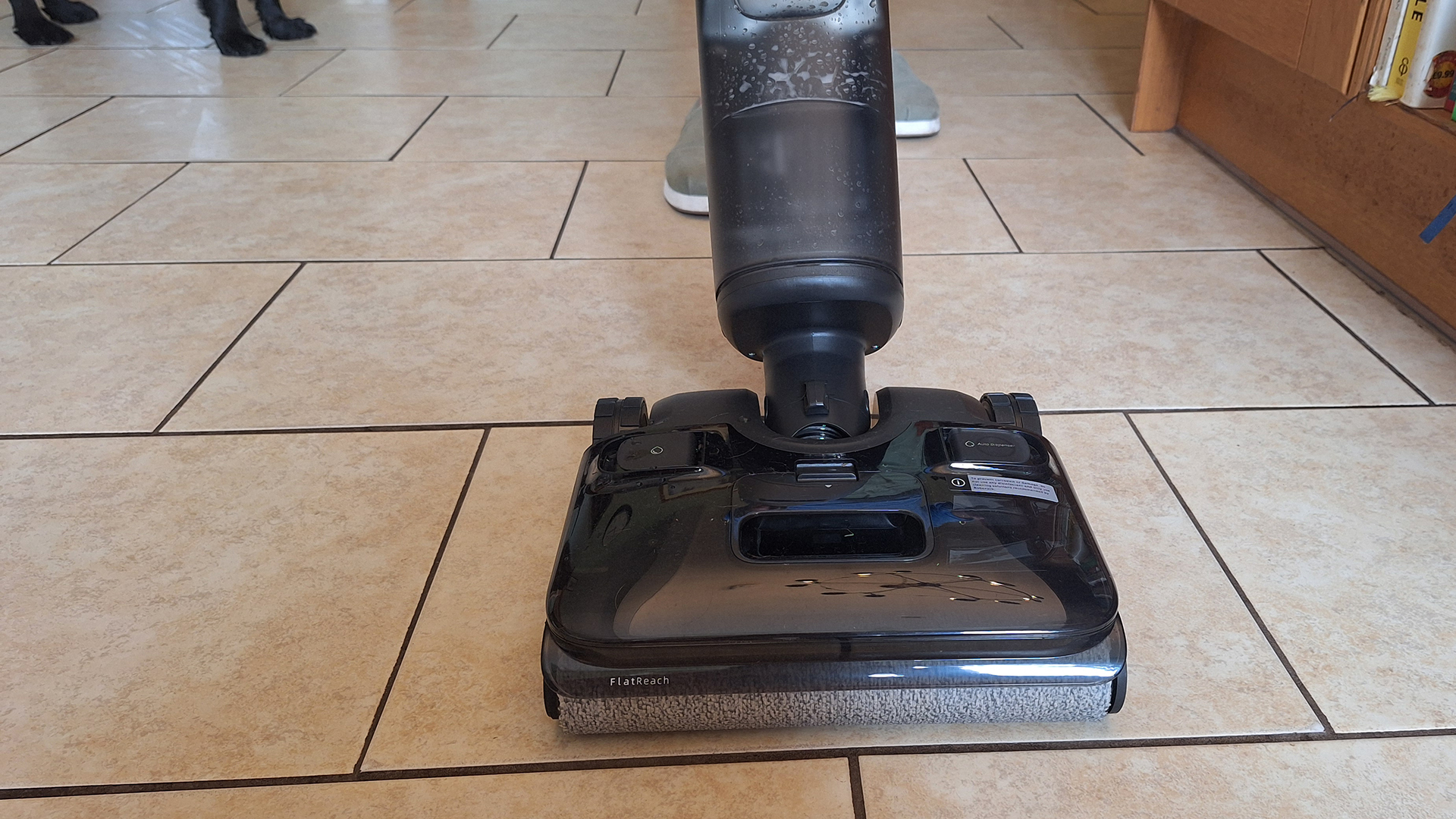 Person using Roborock F25 Ace Combo mop in a home with dogs running around