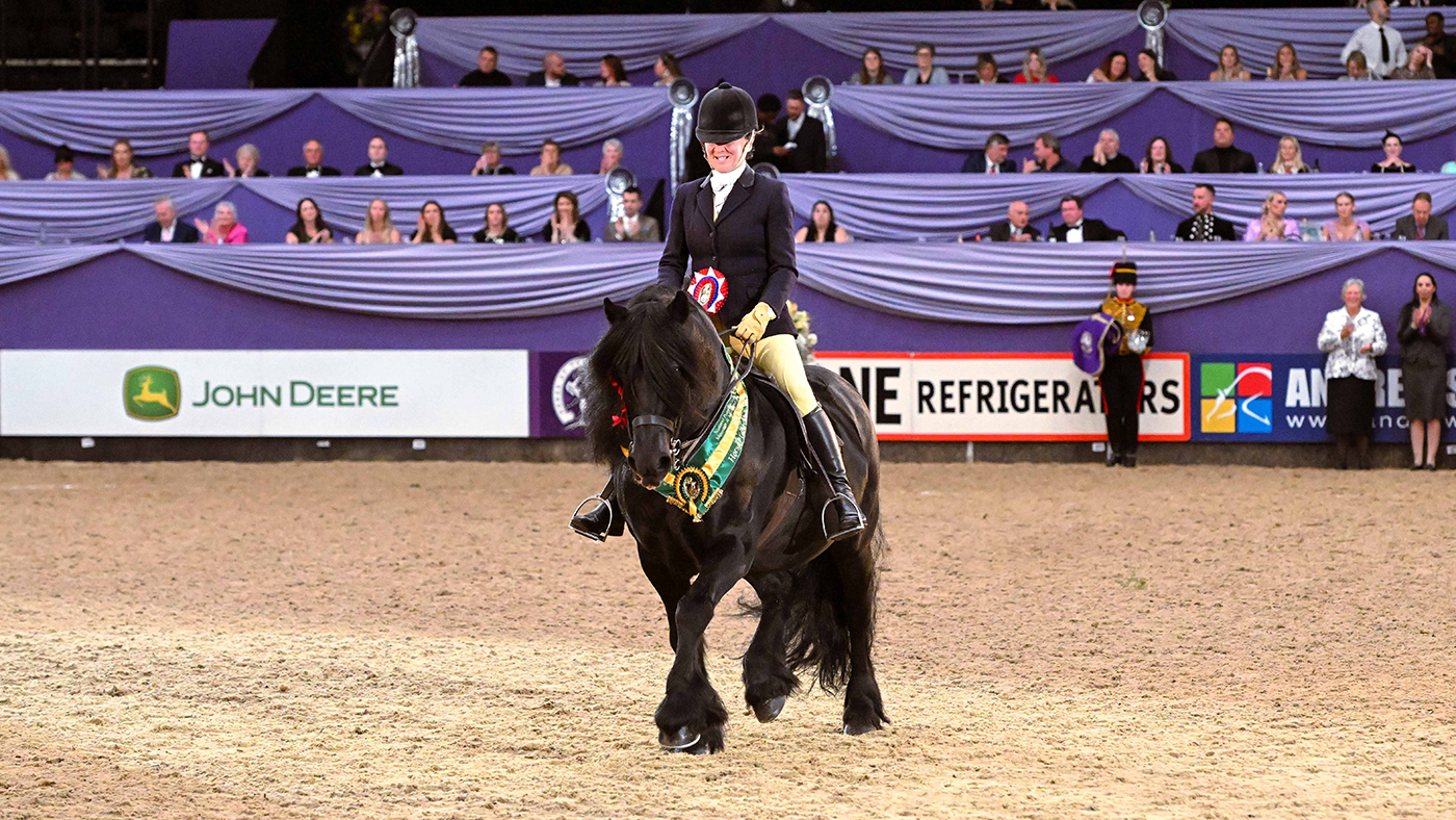 Wildhoeve-Okidoki_HOYS_PN24_171814.jpg