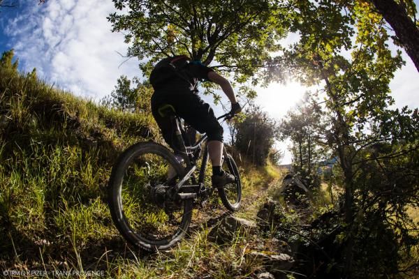 A rider blazes along on day 5