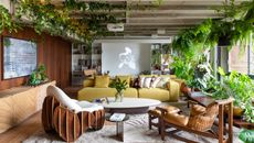 green interior at the terrace apartment by guto requena