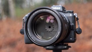 Close up of the Viltrox AF 85mm F1.4 Pro lens attached to a Nikon camera, mounted to a tripod outdoors and with bronze-colored ferns in the background, emphasis on the lens aperture blades