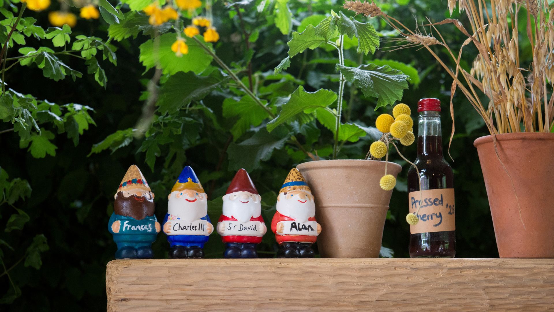 Garden gnomes named for Frances Tophill, King Charles III, David Beckham, and Alan Titchmarsh perch on a shelf of the The King's Foundation Curious Garden at the Chelsea Flower Show on May 20, 2026