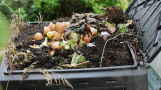 An open compost heap