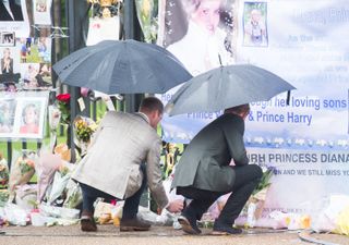 Prince Harry and Prince William looking at tributes for Princess Diana