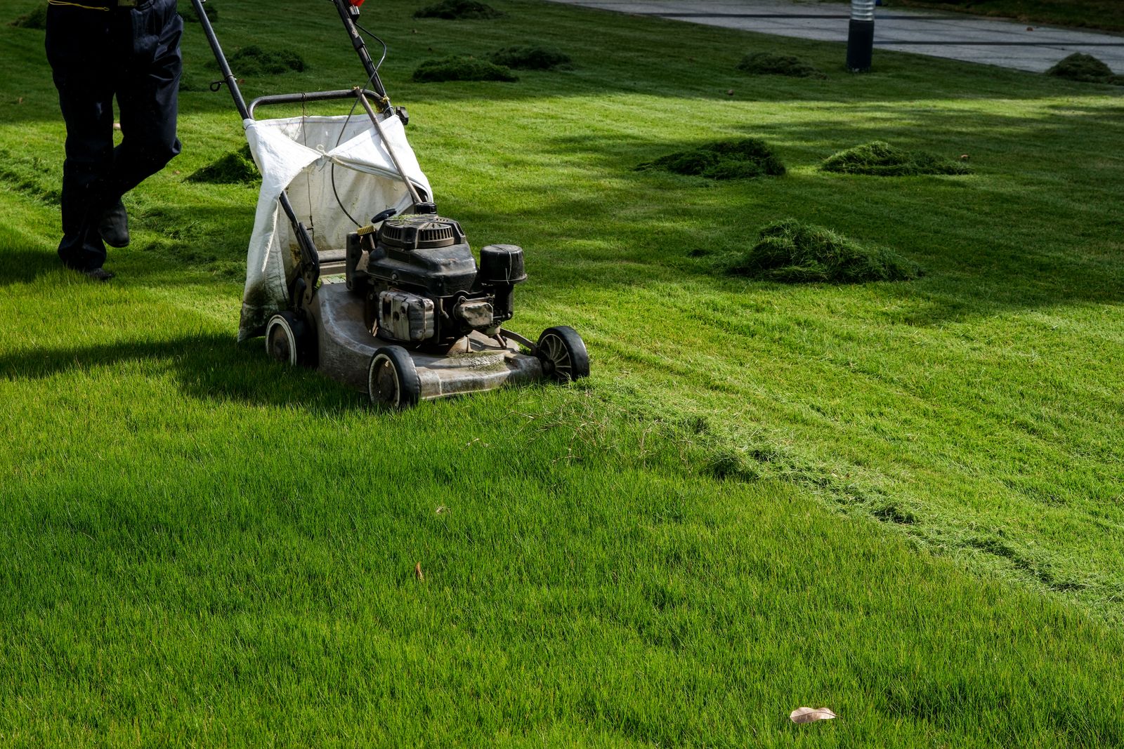 When is the last time to mow your lawn before winter? Livingetc