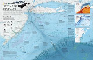 One side of the new New York City seascape map shows a view of the coast and seafloor, including the topography of the continental shelf and Hudson Canyon.
