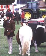 EF18922C-3EF0-4FF2-ADFC-71792771F4E4.jpg
