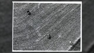 1953: Air view of drought in Texas. Photo shows a large expanse of drought sticken, parched earth with three lonely cows with pronounced shadows.