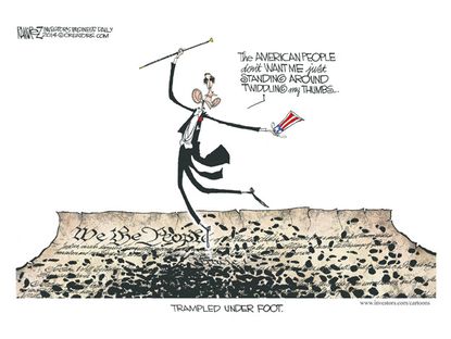 Obama cartoon executive order