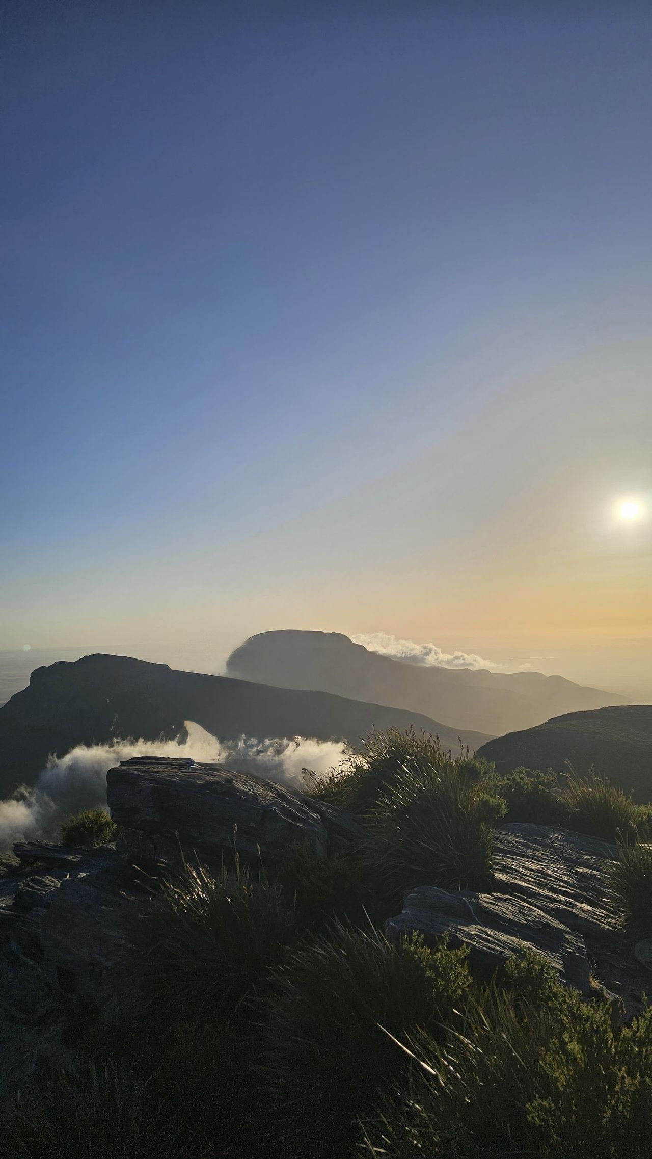 Assorted images demonstrating Clean Up in iOS 26