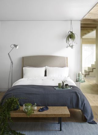 neutral bedroom with blue bedspread, hanging plant, and potted houseplants on bench.