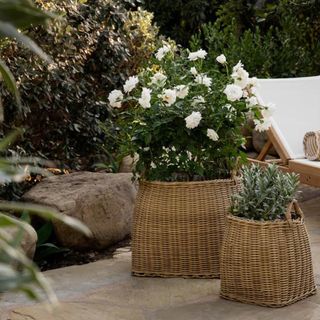 Two woven planters from McGee & Co.