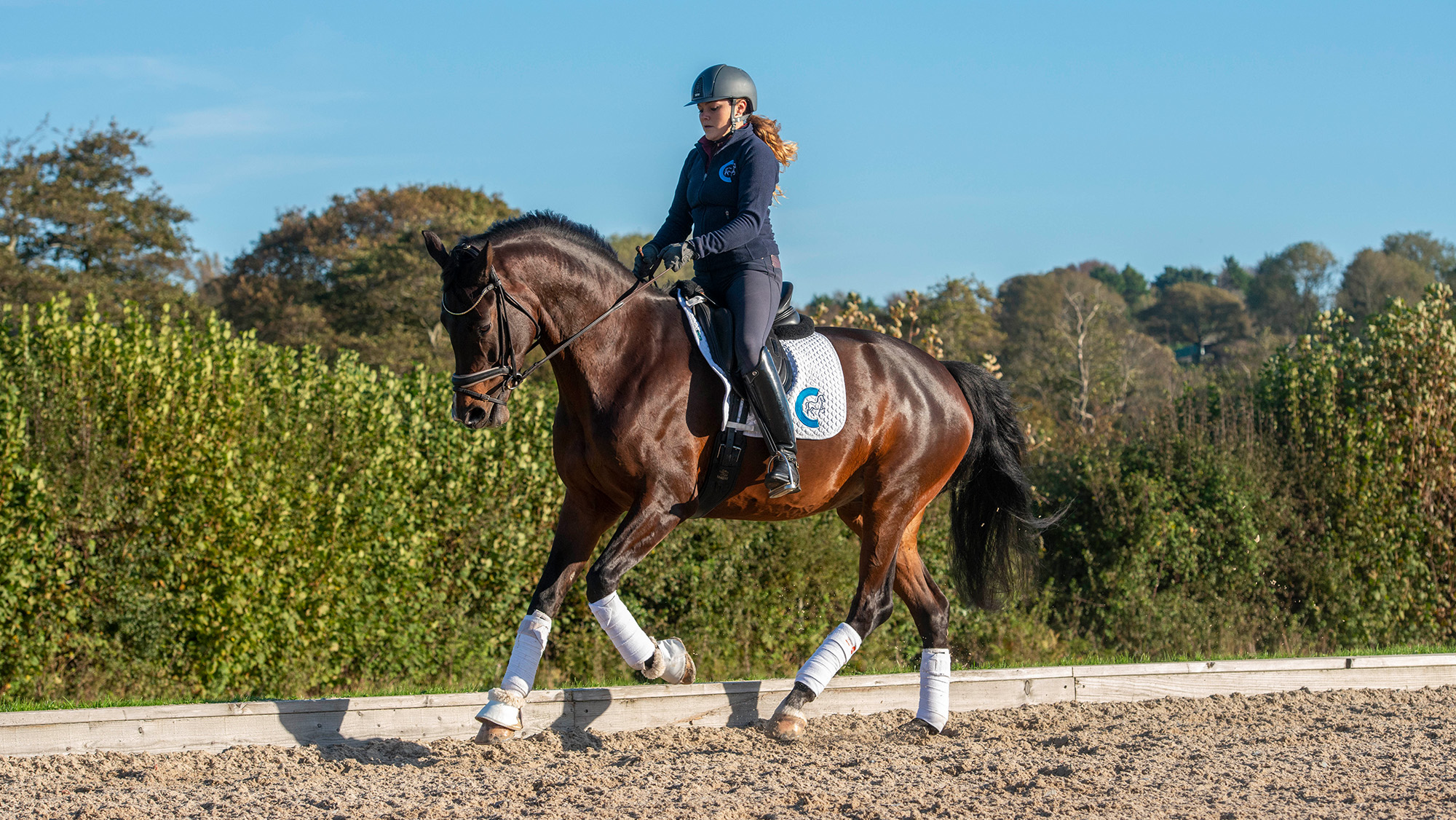 Woman riding bay horse in canter