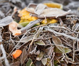 Frosty compost pile