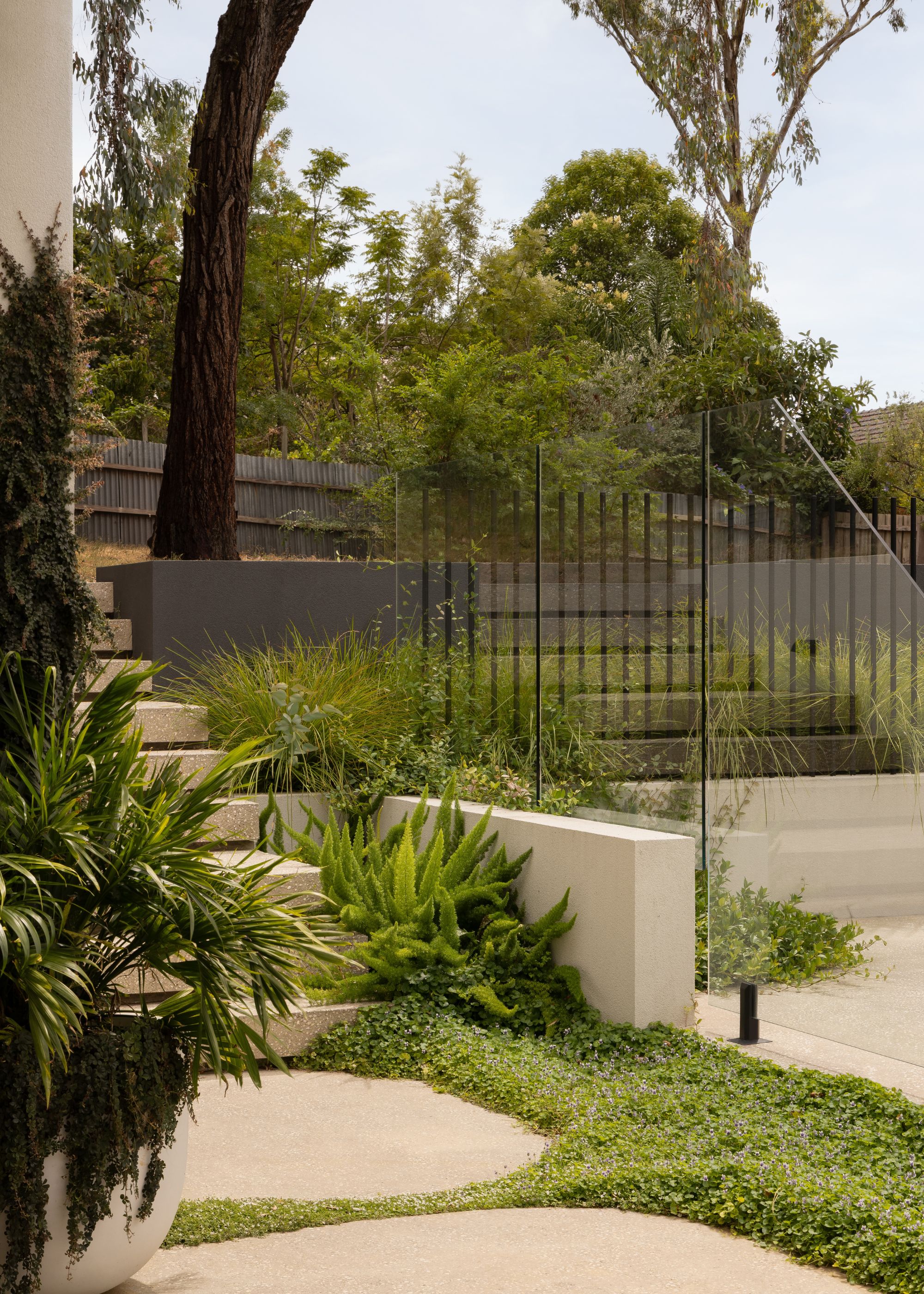 A garden path with crawling ground cover, potted plants, and textured grass beside trees