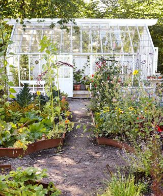 white greenhouse behind vegetable beds