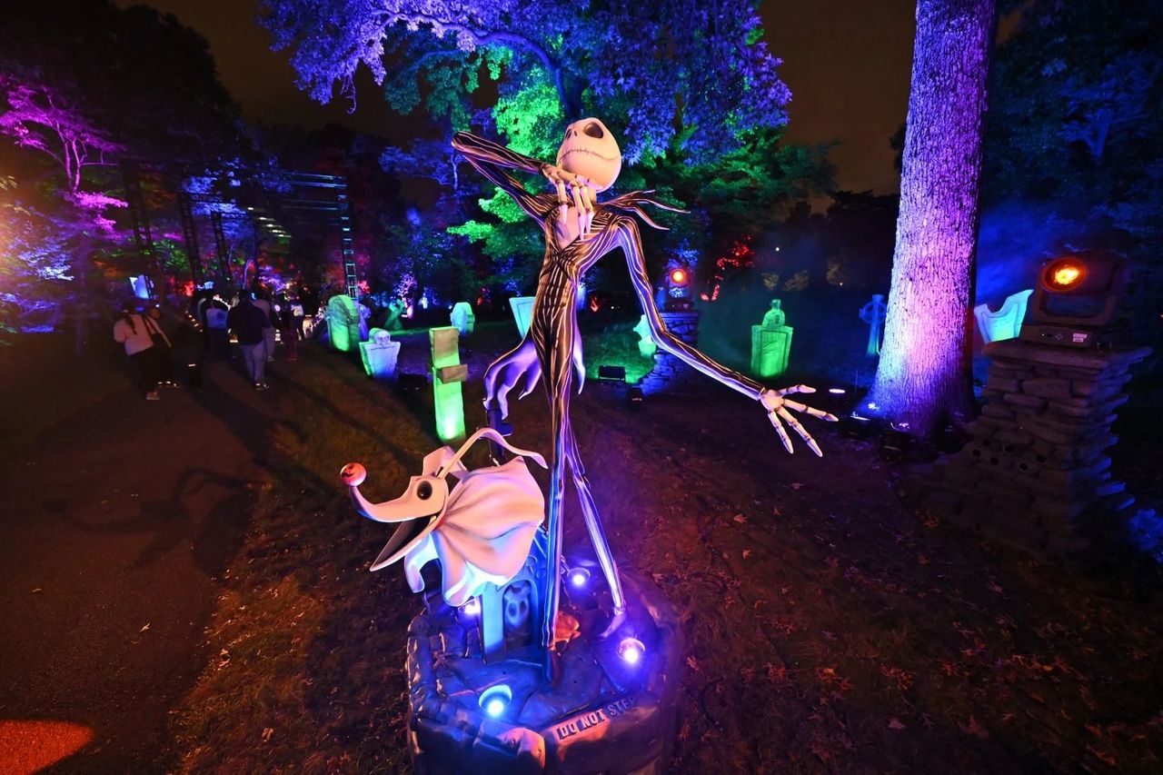 The Nightmare Before Christmas Light Trail.