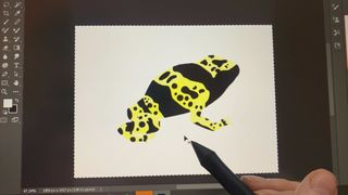 An artist drawing a tropical frog in Photoshop on the Wacom One