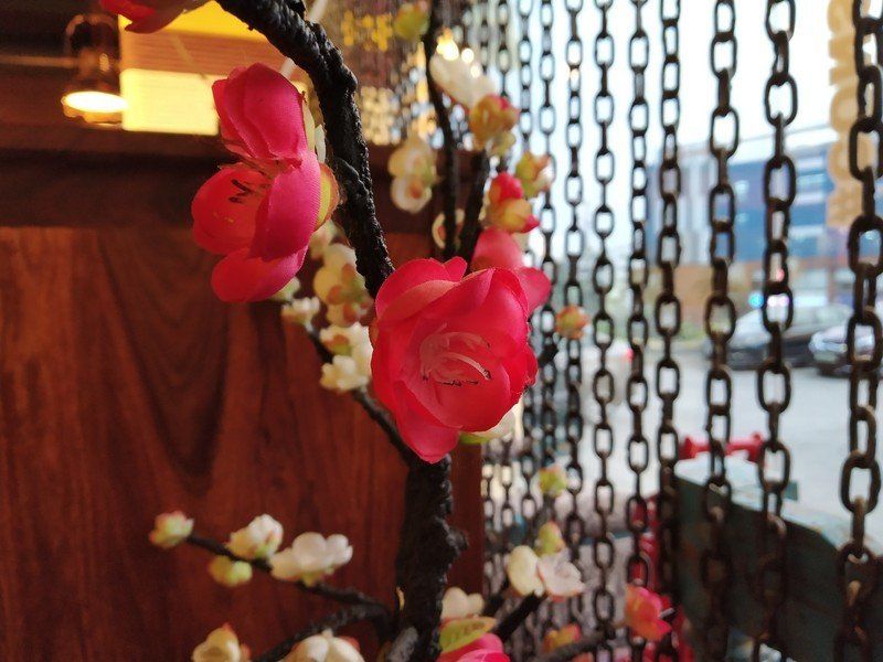 Xiaomi Redmi Note 5 Pro camera