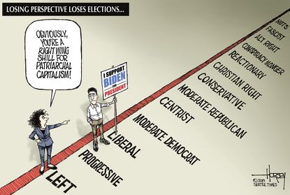 Political Cartoon U.S. Partisan Spectrum 2020 Biden Elections