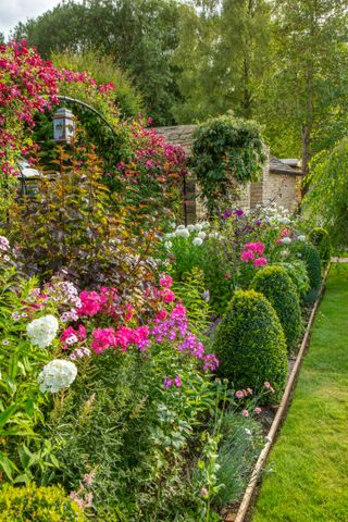 floral borders in a cottage garden